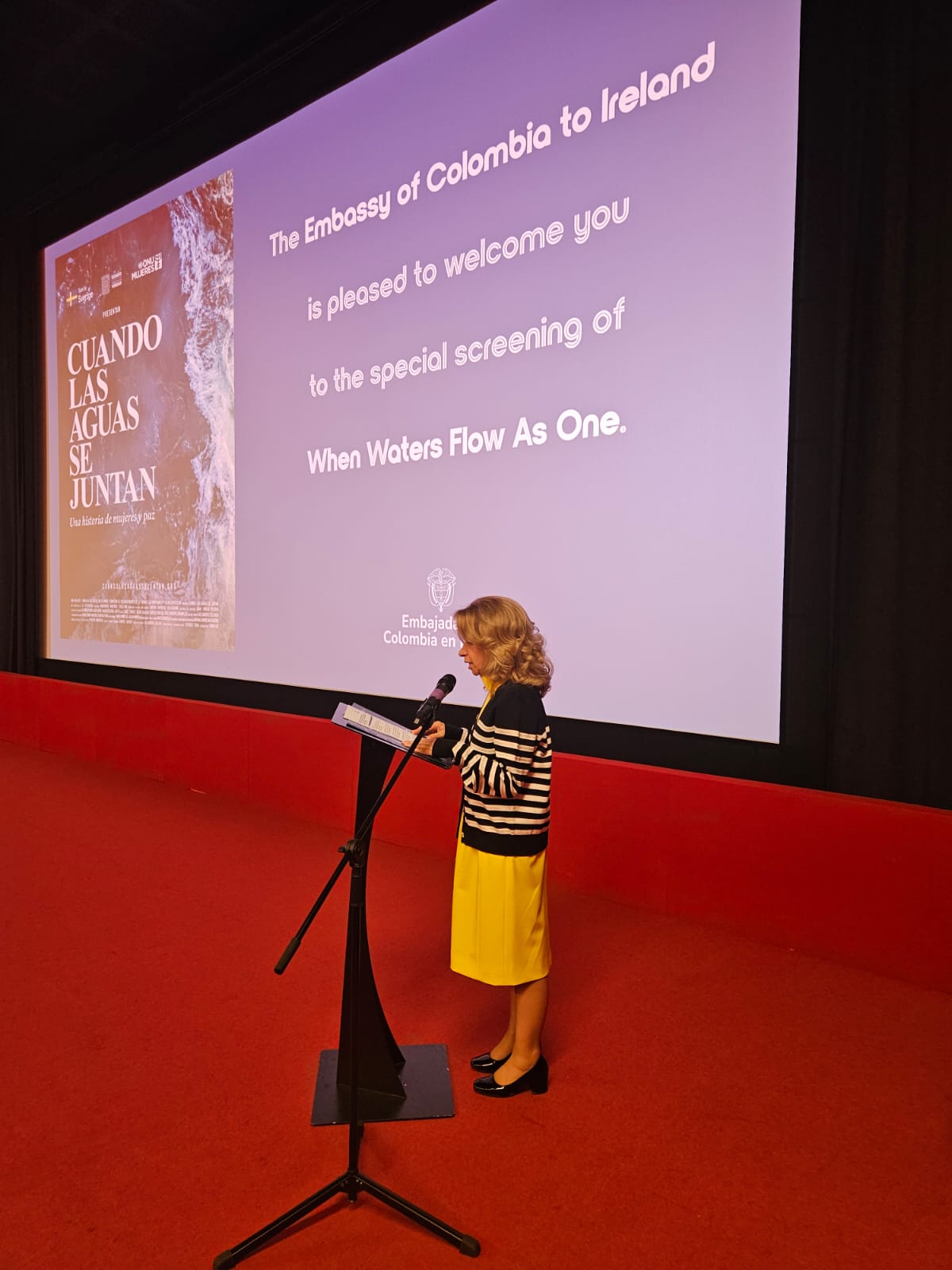 Palabras Embajadora Betty Escorcia Baquero en la presentación de la película “Cuando las aguas se juntan”. Créditos: Embajada de Colombia en Irlanda.