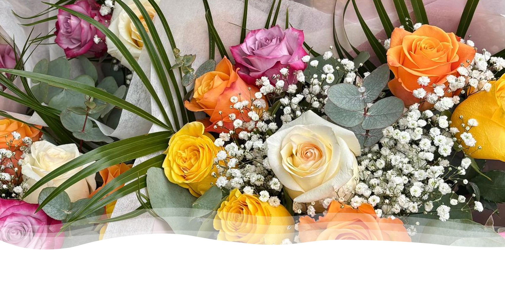 Las rosas colombianas llegan a Irlanda este San Valentín como símbolo de belleza, sostenibilidad y construcción de paz